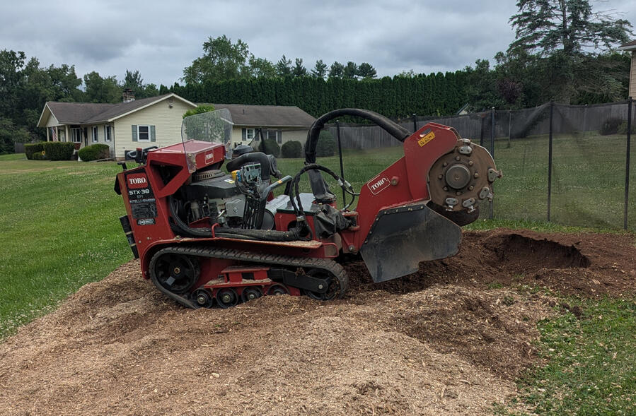 Stump grinder specialist grinding a stump in a yard in Williamsport, PA